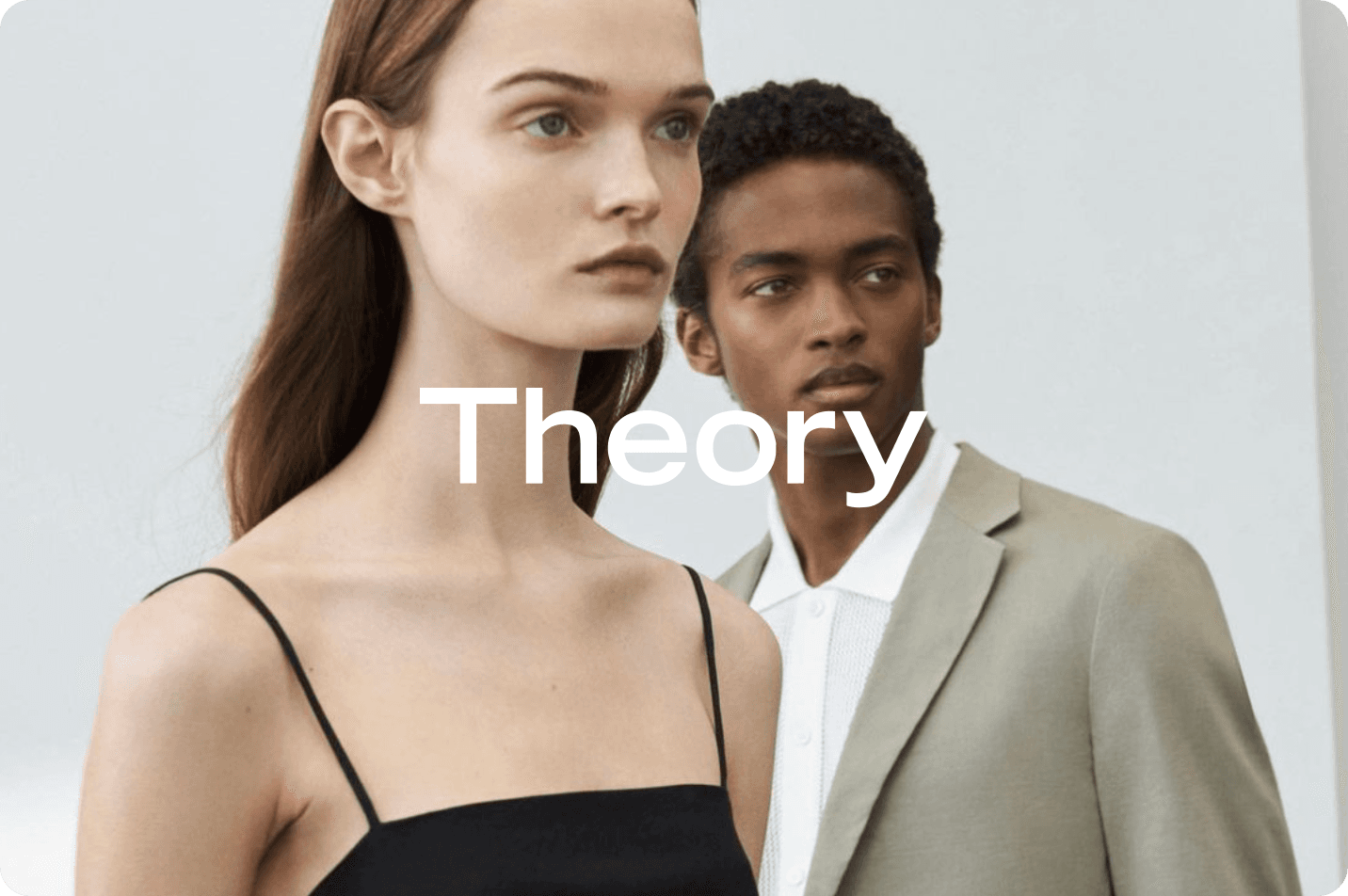 Theory